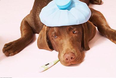 开放世界冒险游戏《失落的天空》发布新宣传片 4月18日开启抢先体验